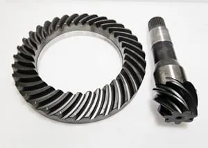 Tigutaldrik + tigu Weidemann 1000248813